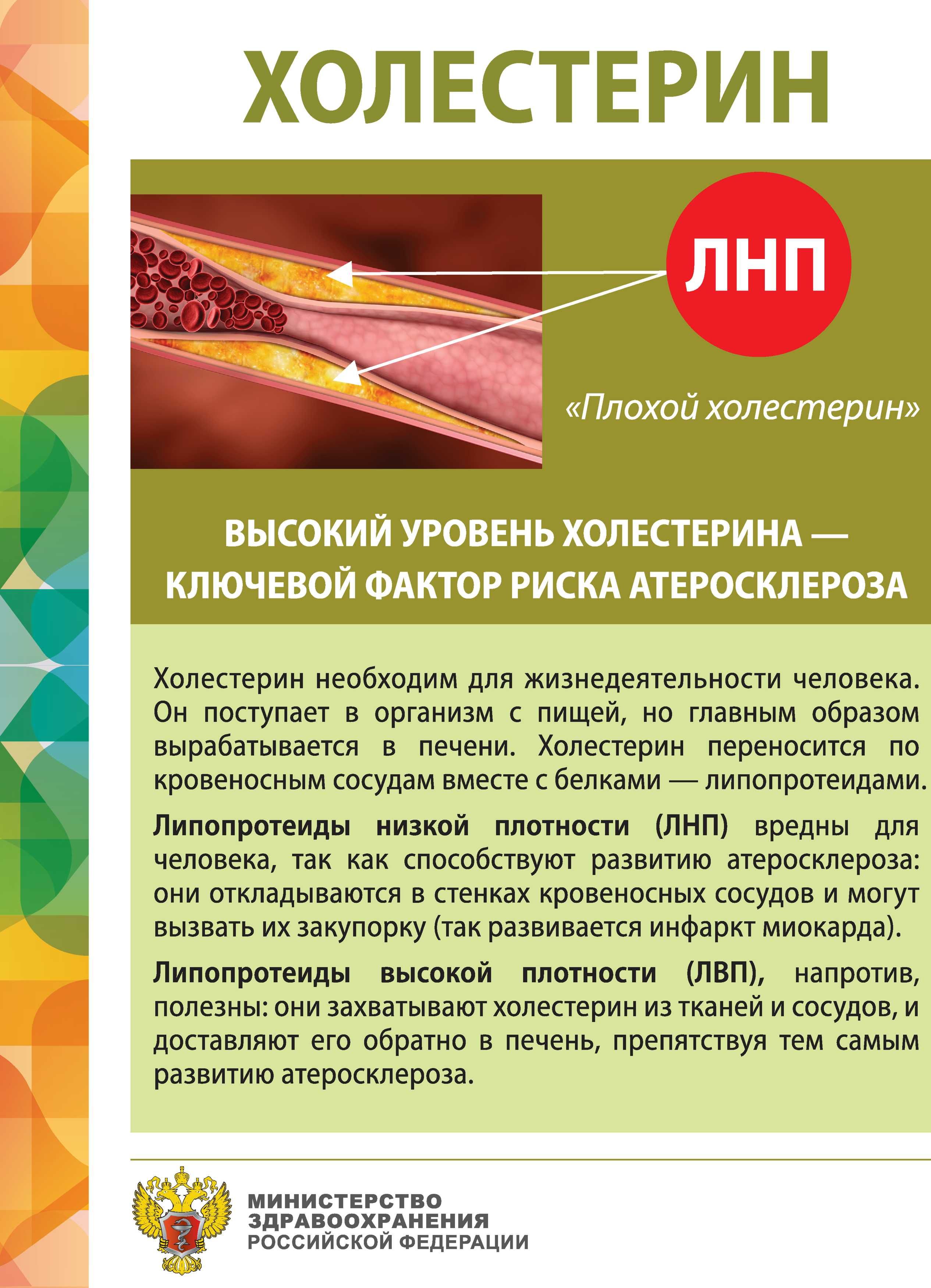 Какой холестерин. Холестерин. Высокий уровень холестерина. Холестерин это простыми словами. Уровень плохого холестерина.